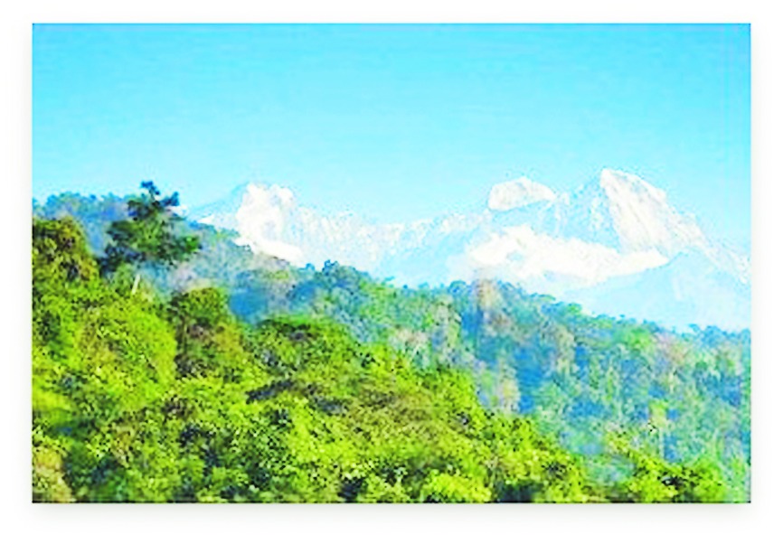 La Comisión de Ordenamiento Territorial del Senado descentralizó su sesión a Santa Marta