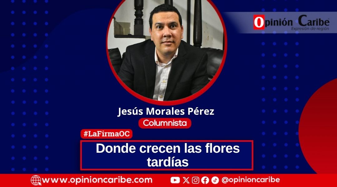 Donde crecen las flores tardías