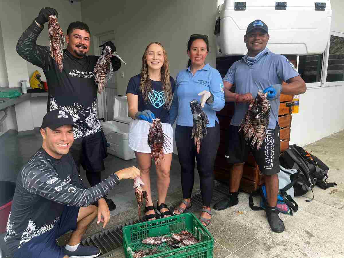 Jornada interinstitucional refuerza control del pez león en el Parque Tayrona